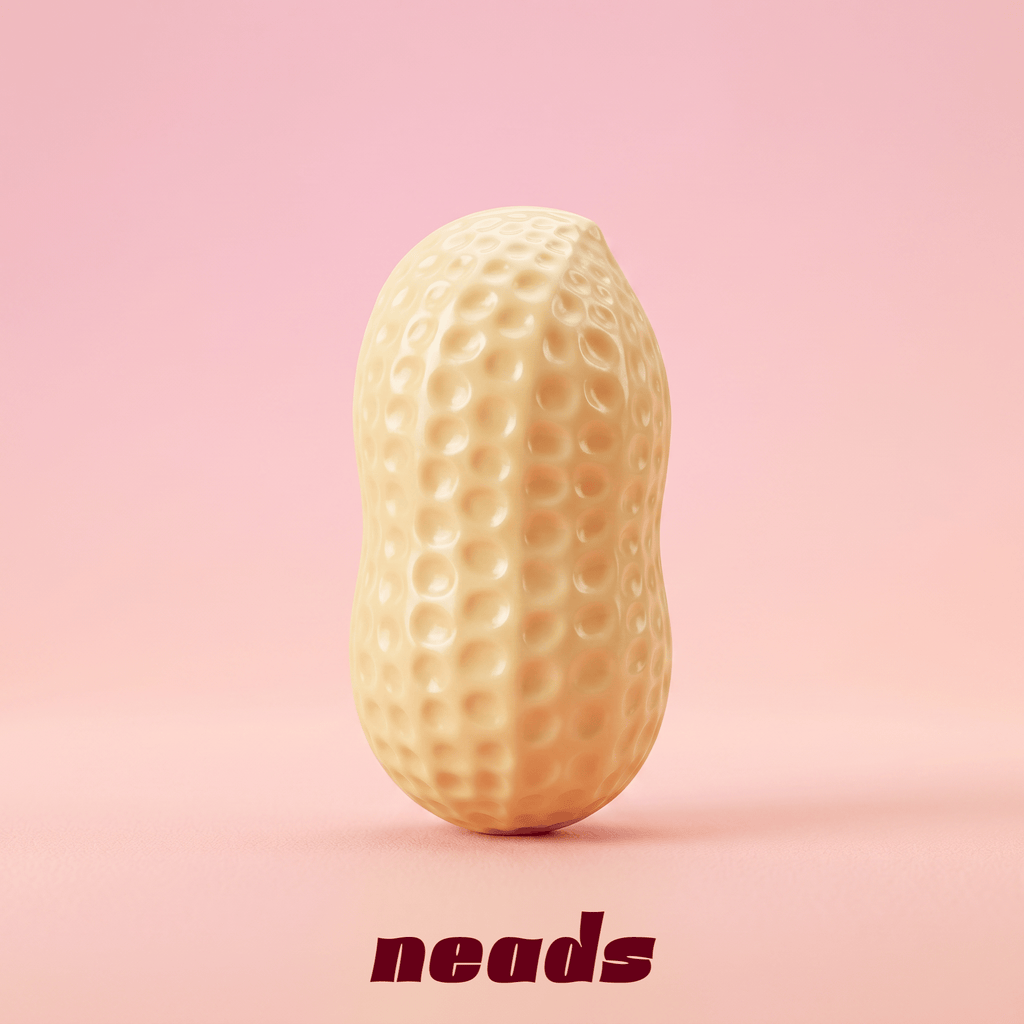 ASMR Peanut Crunch Squishy｜neads Handcrafted Sensory Toy - neads studio
