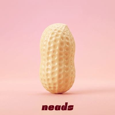 ASMR Peanut Crunch Squishy｜neads Handcrafted Sensory Toy - neads studio