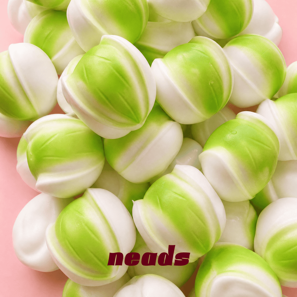 neads Giant Pistachio Crunchy ASMR Squishy Handcrafted Sensory Toy - neads studio