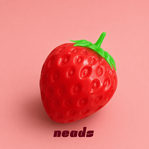The Crunchy Strawberry Squishy | Hyper-Realistic ASMR Sensory Toy ｜neads Handcrafted Sensory Toy - neads studio